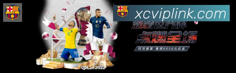 奖项图1